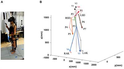 Heterogeneities of the perceptual-motor style during locomotion at height